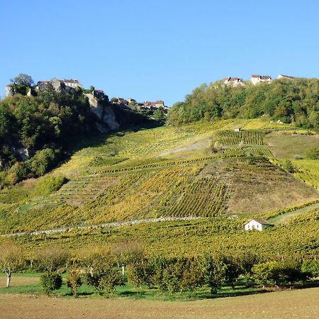 Cote Riviere Villa Nevy-Sur-Seille Екстериор снимка